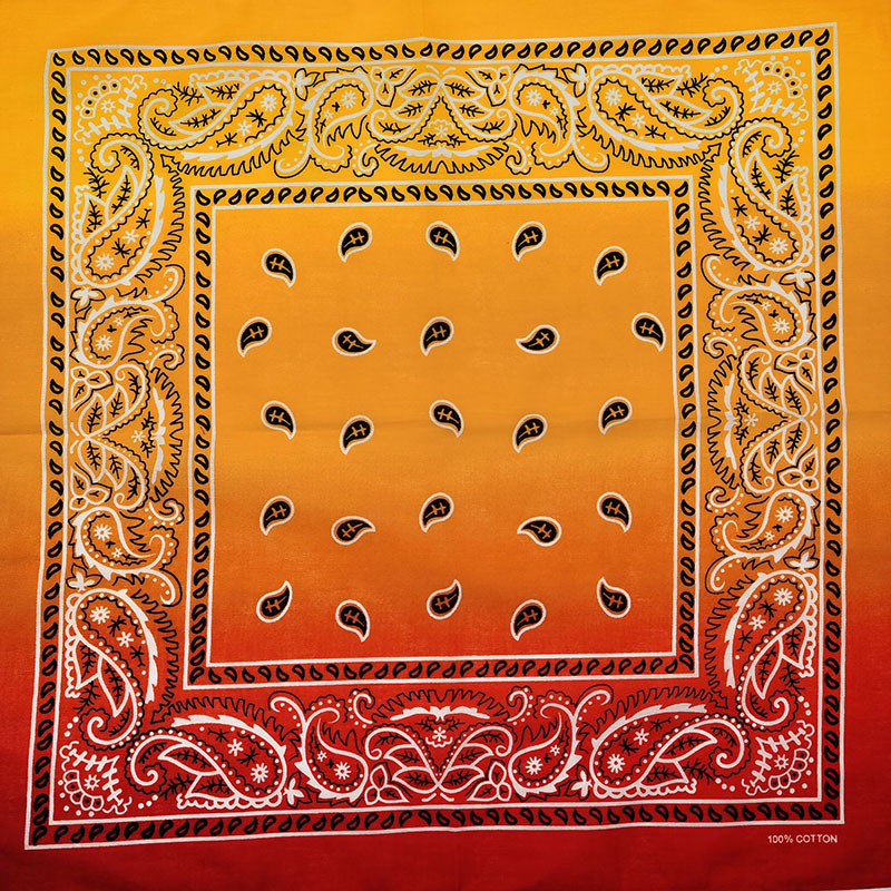 Fashion Unisex Black Paisley H - огляд і ціна Bandana Blank White